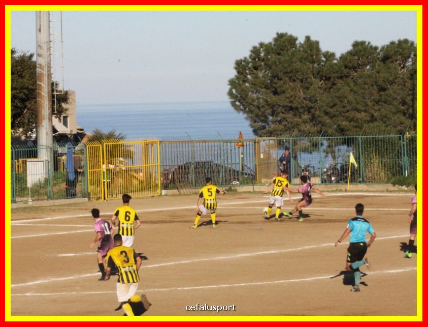 190310 Cephal_Torrenov 166_tn.jpg